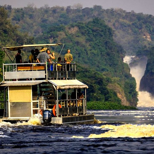 Murchison falls National Park -boat cruise