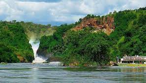 Affordable Uganda trips 2024